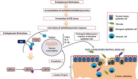 Disrupted cellular processes
