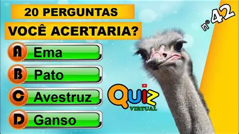Perguntas e Respostas sobre o TEA