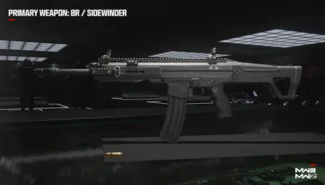 Primary and Secondary Weapons