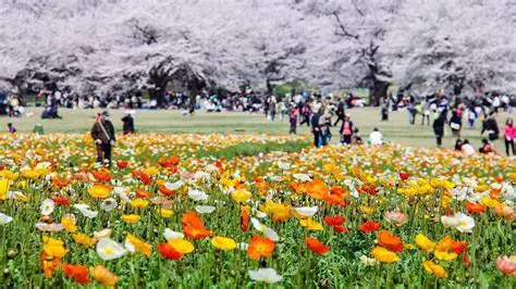 昭和記念公園（国営公園）を遊び尽くす！見どころ・イベント・アクセス徹底ガイド