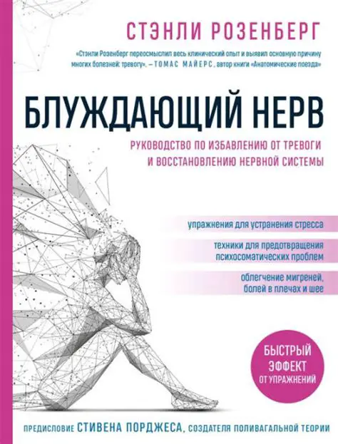 Ставки по вкладам: Полное Руководство по Выбору и Максимизации Доходности в 2024 Году