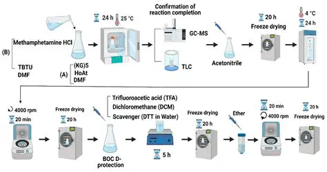 The Chemistry of Crystal Meth Production