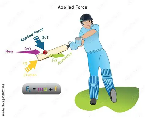 The Force Applied by the Bat