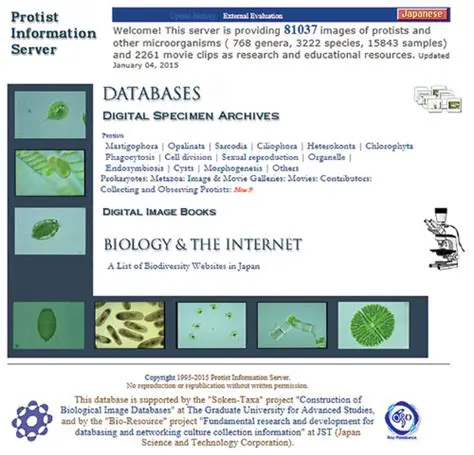 The Protist Information Server