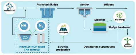 The Use of Natural Zeolite as an Adsorbent in Removal of Ammonia Ions in Synthetic Waste