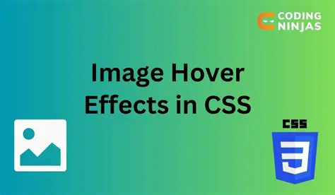 Understanding Hover Effects