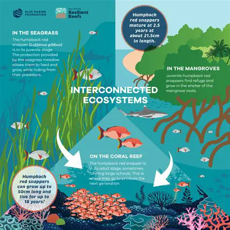 Understanding the Interconnectedness of Ecosystems