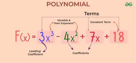 Understanding the Terms of a Polynomial